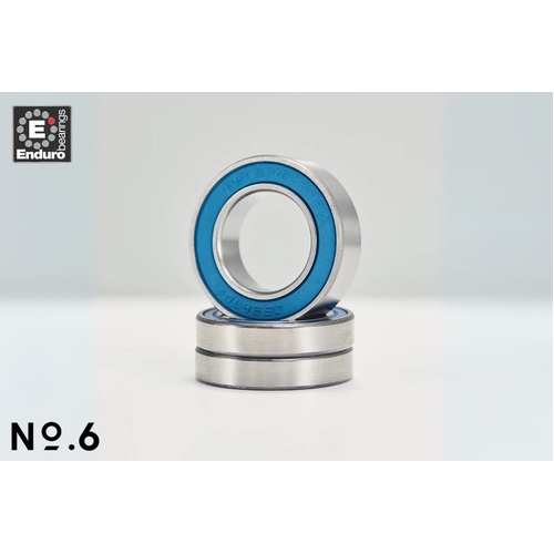No.6 Enduro Bearings