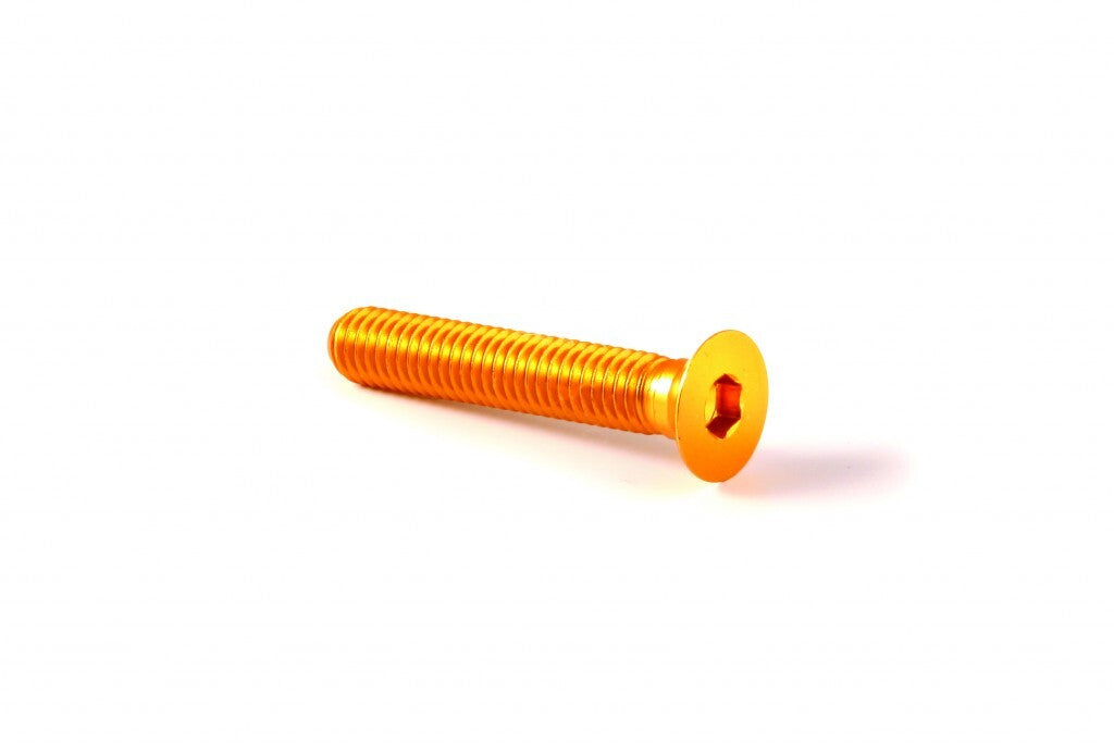 Carbon-Ti X-Cap TORX Spare Bolt with logo