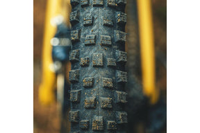 American Classic Vulcanite Tubeless Folding Trail Tyre 29 x 2.5 - Black